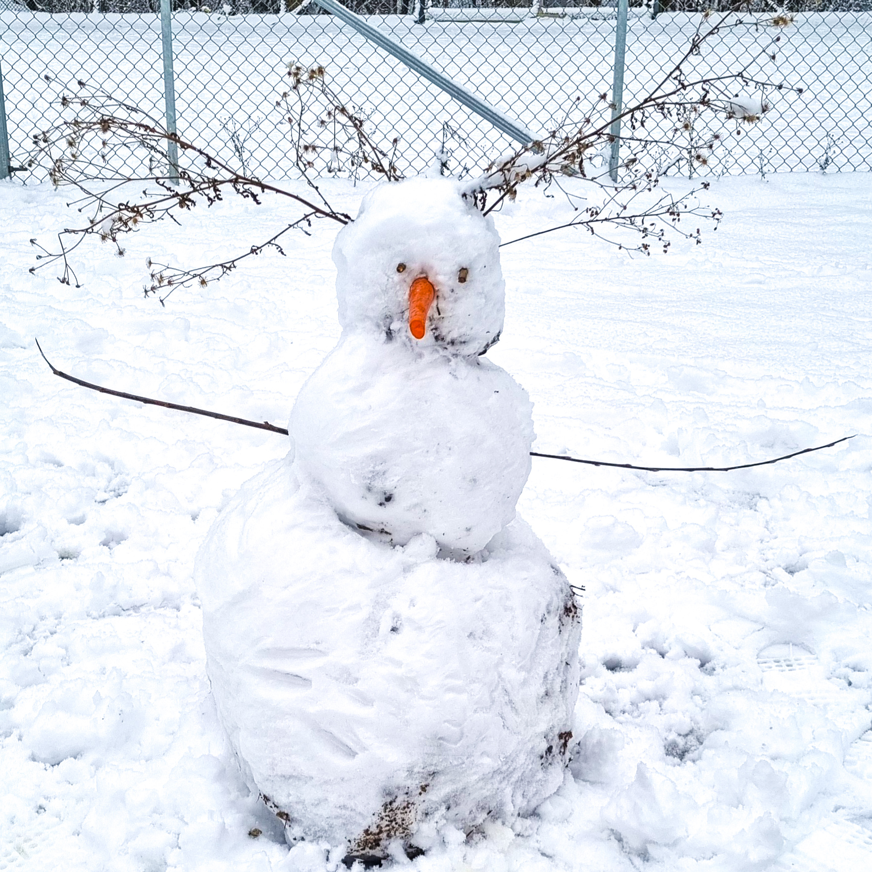 Snögubbe med morotsnäsa